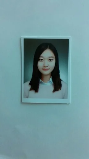 송수진